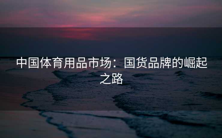 中国体育用品市场：国货品牌的崛起之路